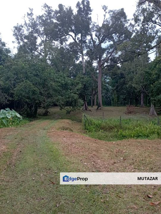 FREEHOLD, Tanah Pertanian 6.1 ekar di Tg Malim, Perak FOR SALE - Tepi Jalan Besar, Ada Sungai , Perak, Tanjung Malim