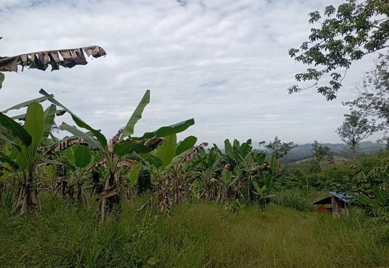 FOR SALE: Tanah Pertanian FREEHOLD 6.3 Ekar Di Tanjung Malim , Perak - Ada Dusun Durian, Kebun Pisang & Kolam Ikan