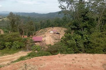 FOR SALE: Tanah Pertanian FREEHOLD 6.3 Ekar Di Tanjung Malim , Perak - Ada Dusun Durian, Kebun Pisang & Kolam Ikan