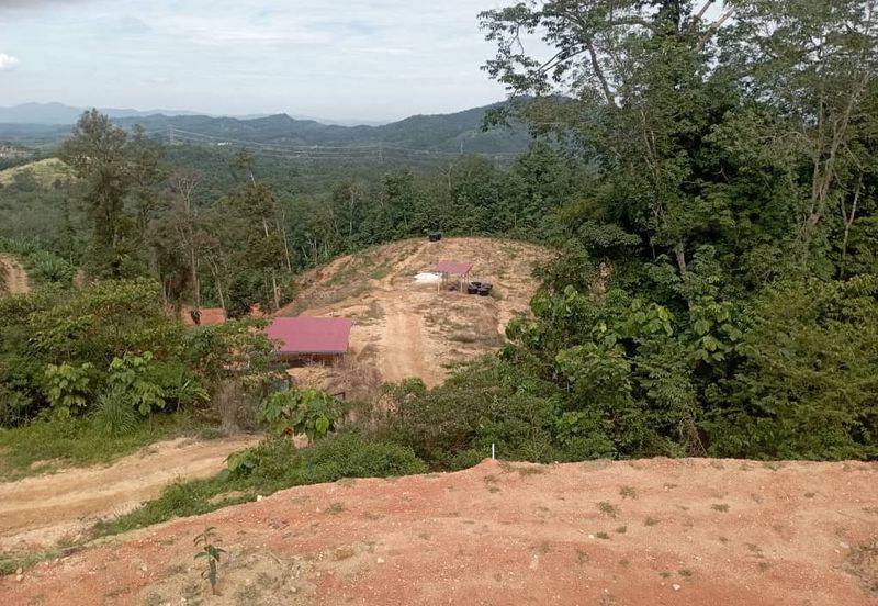 FOR SALE: Tanah Pertanian FREEHOLD 6.3 Ekar Di Tanjung Malim , Perak - Ada Dusun Durian, Kebun Pisang & Kolam Ikan