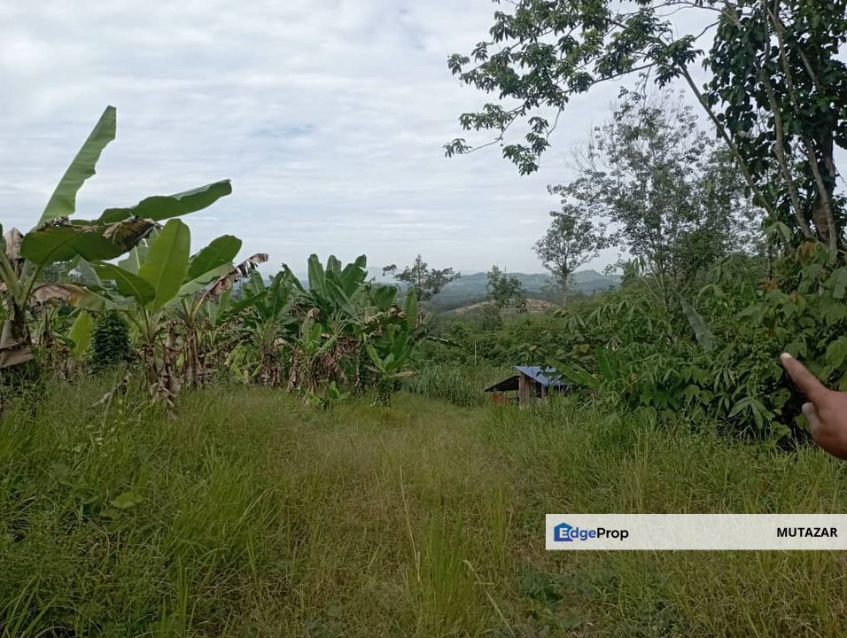 FOR SALE: Tanah Pertanian FREEHOLD 6.3 Ekar Di Tanjung Malim , Perak - Ada Dusun Durian, Kebun Pisang & Kolam Ikan, Perak, Tanjung Malim