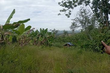 FOR SALE: Tanah Pertanian FREEHOLD 6.3 Ekar Di Tanjung Malim , Perak - Ada Dusun Durian, Kebun Pisang & Kolam Ikan