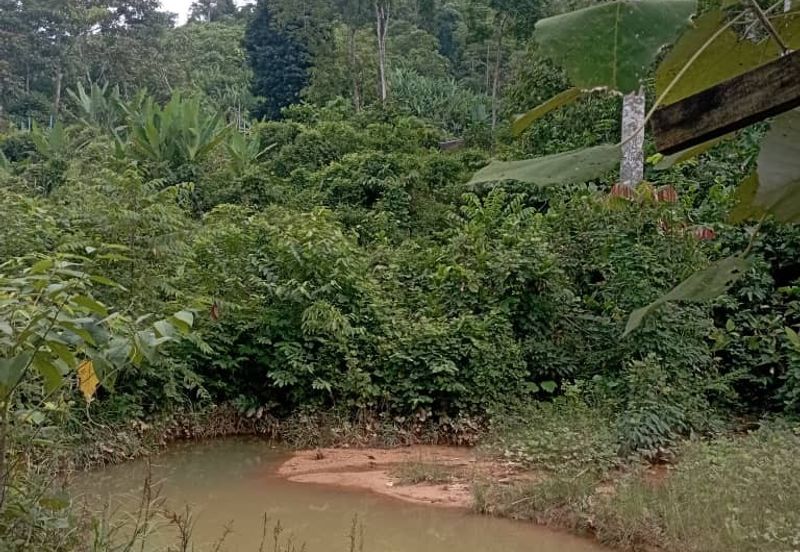 FOR SALE: Tanah Pertanian FREEHOLD 6.3 Ekar Di Tanjung Malim , Perak - Ada Dusun Durian, Kebun Pisang & Kolam Ikan
