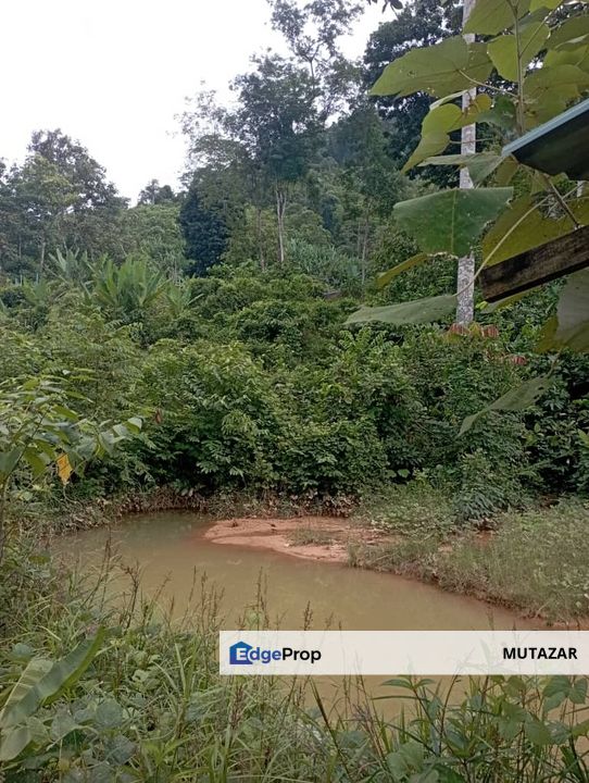 FOR SALE: Tanah Pertanian FREEHOLD 6.3 Ekar Di Tanjung Malim , Perak - Ada Dusun Durian, Kebun Pisang & Kolam Ikan, Perak, Tanjung Malim