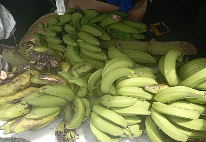 FOR SALE: Tanah Pertanian FREEHOLD 6.3 Ekar Di Tanjung Malim , Perak - Ada Dusun Durian, Kebun Pisang & Kolam Ikan