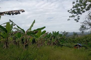 FOR SALE: Tanah Pertanian FREEHOLD 6.3 Ekar Di Tanjung Malim , Perak - Ada Dusun Durian, Kebun Pisang & Kolam Ikan