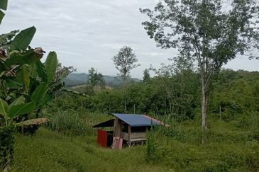 FOR SALE: Tanah Pertanian FREEHOLD 6.3 Ekar Di Tanjung Malim , Perak - Ada Dusun Durian, Kebun Pisang & Kolam Ikan