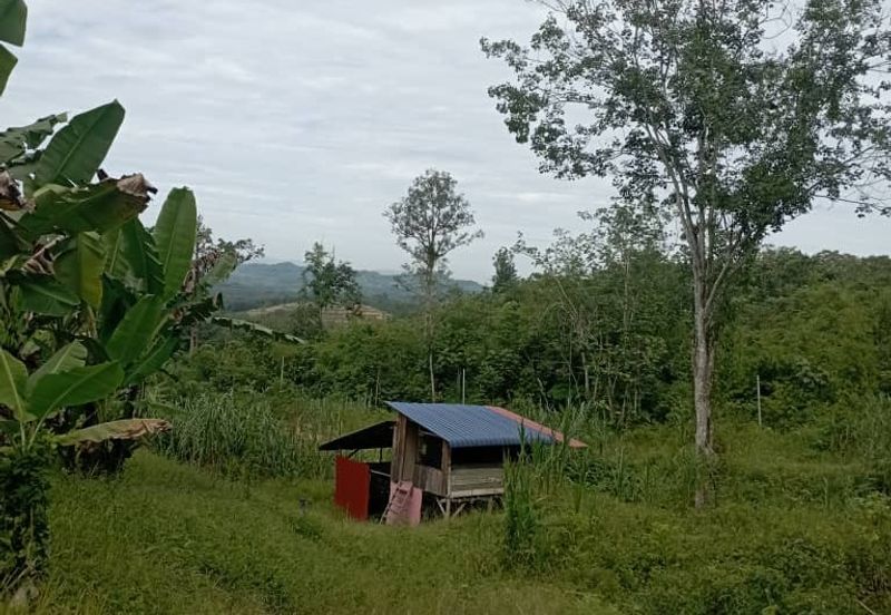FOR SALE: Tanah Pertanian FREEHOLD 6.3 Ekar Di Tanjung Malim , Perak - Ada Dusun Durian, Kebun Pisang & Kolam Ikan