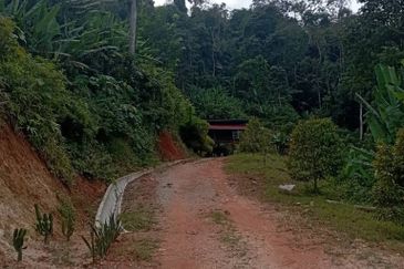 FOR SALE: Tanah Pertanian FREEHOLD 6.3 Ekar Di Tanjung Malim , Perak - Ada Dusun Durian, Kebun Pisang & Kolam Ikan