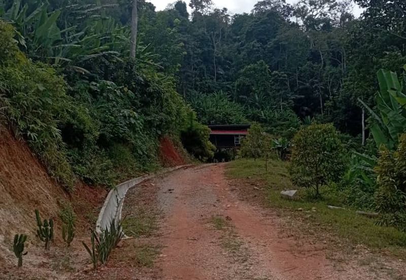 FOR SALE: Tanah Pertanian FREEHOLD 6.3 Ekar Di Tanjung Malim , Perak - Ada Dusun Durian, Kebun Pisang & Kolam Ikan