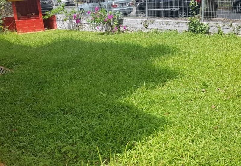 FOR SALE: [CORNER UNIT WITH BIG LAND]  2.5 Storey Terrace House @ Saujana Damansara, Petaling Jaya - Non Bumi Unit