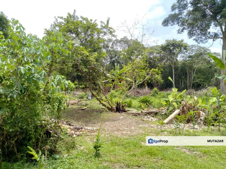 [FREEHOLD OPEN, ZONING INDUSTRI] 3.8 Acres Agriculture Land @ Kampung Pekajang, Tanjung Kupang, Gelang Patah - For Sale, Johor, Johor Bahru