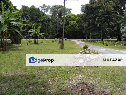 FOR SALE [FREEHOLD OPEN, ZONING INDUSTRI] 3.8 Acres Agriculture Land @ Kampung Pekajang, Tanjung Kupang, Gelang Patah - PRICE DROP!, Johor, Johor Bahru