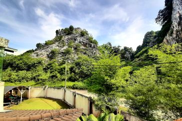 Ariza Garden Villa @ Taman Raintree