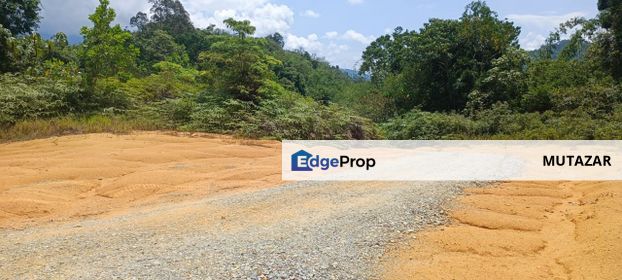 5 ACRES FREEHOLD Agricultural Lands FOR SALE In Janda Baik, Bentong, Pahang, Pahang, Bentong
