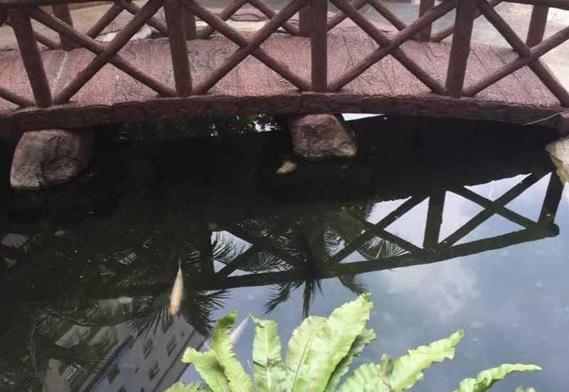 Brunsfield Service Apartment