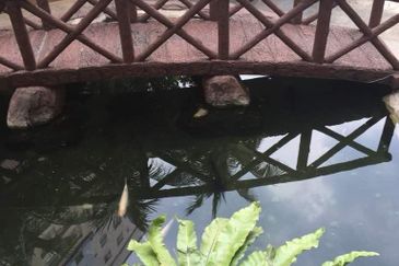 Brunsfield Service Apartment