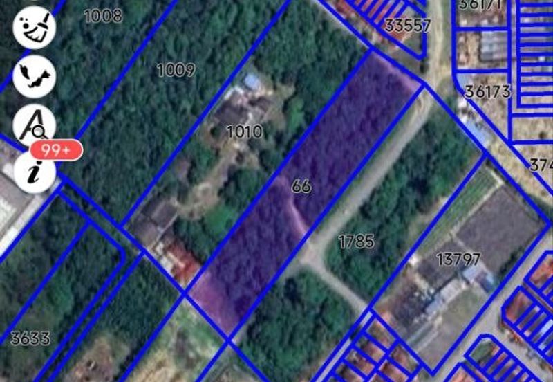 FREEHOLD NON BUMI LOT, Agricultural Land @ Simpang Temerloh-Jerantut - Strategic Location Behind Petronas Station For Sale