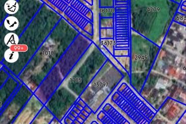 FREEHOLD NON BUMI LOT, Agricultural Land @ Simpang Temerloh-Jerantut - Strategic Location Behind Petronas Station For Sale