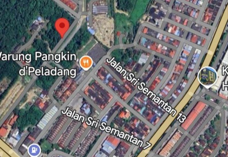FREEHOLD NON BUMI LOT, Agricultural Land @ Simpang Temerloh-Jerantut - Strategic Location Behind Petronas Station For Sale