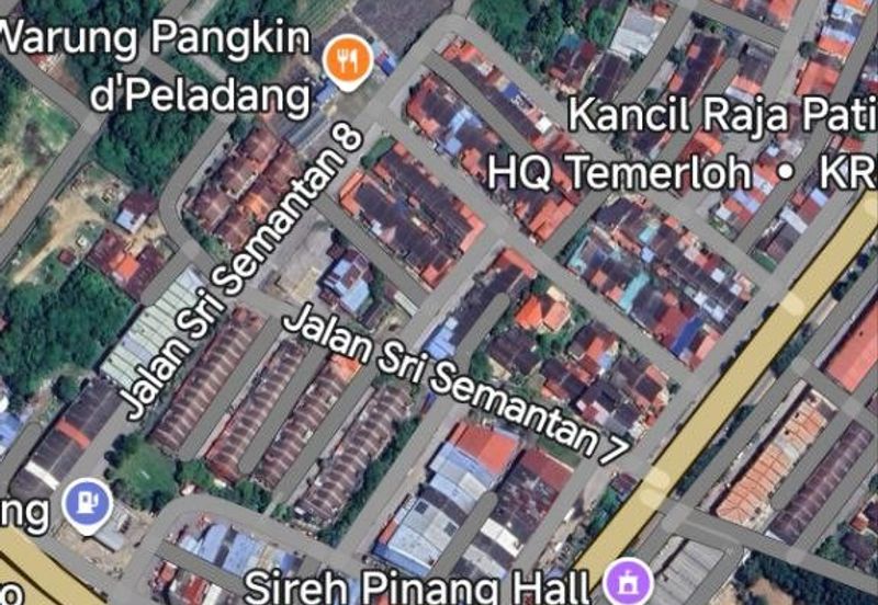 FREEHOLD NON BUMI LOT, Agricultural Land @ Simpang Temerloh-Jerantut - Strategic Location Behind Petronas Station For Sale