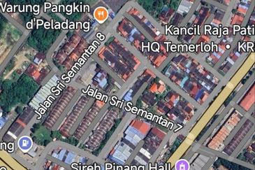 FREEHOLD NON BUMI LOT, Agricultural Land @ Simpang Temerloh-Jerantut - Strategic Location Behind Petronas Station For Sale