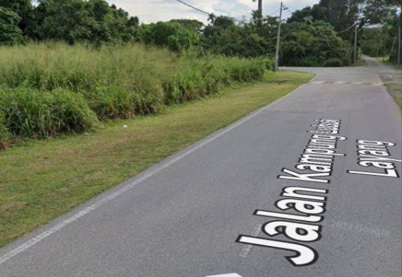 FREEHOLD NON BUMI LOT, Agricultural Land @ Simpang Temerloh-Jerantut - Strategic Location Behind Petronas Station For Sale