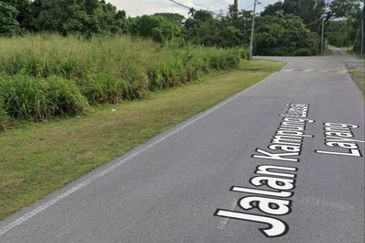 FREEHOLD NON BUMI LOT, Agricultural Land @ Simpang Temerloh-Jerantut - Strategic Location Behind Petronas Station For Sale