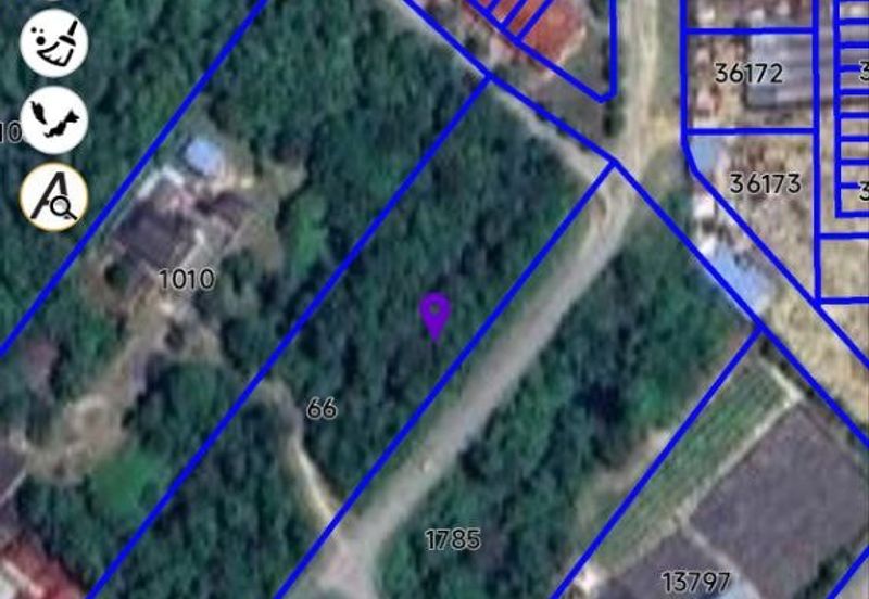 FREEHOLD NON BUMI LOT, Agricultural Land @ Simpang Temerloh-Jerantut - Strategic Location Behind Petronas Station For Sale