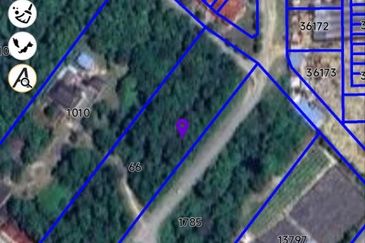 FREEHOLD NON BUMI LOT, Agricultural Land @ Simpang Temerloh-Jerantut - Strategic Location Behind Petronas Station For Sale