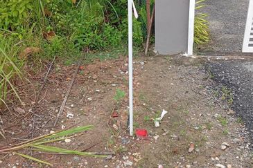 FREEHOLD NON BUMI LOT, Agricultural Land @ Simpang Temerloh-Jerantut - Strategic Location Behind Petronas Station For Sale