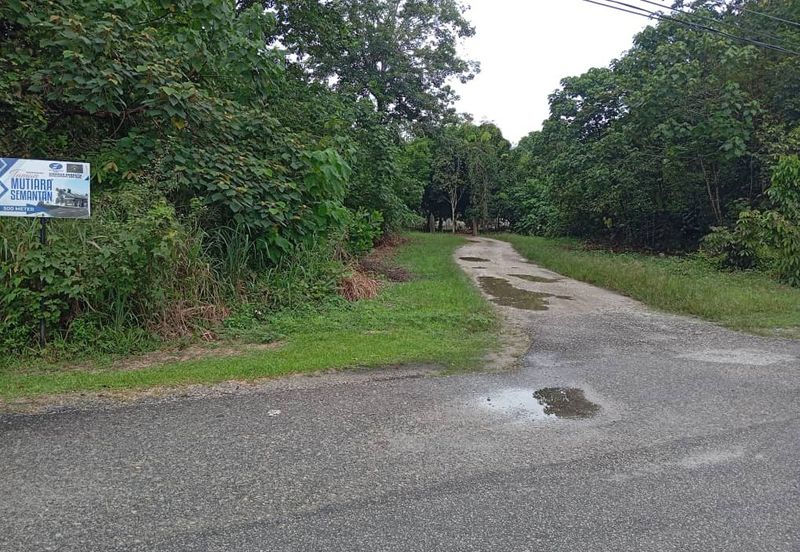 FREEHOLD NON BUMI LOT, Agricultural Land @ Simpang Temerloh-Jerantut - Strategic Location Behind Petronas Station For Sale