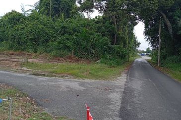 FREEHOLD NON BUMI LOT, Agricultural Land @ Simpang Temerloh-Jerantut - Strategic Location Behind Petronas Station For Sale