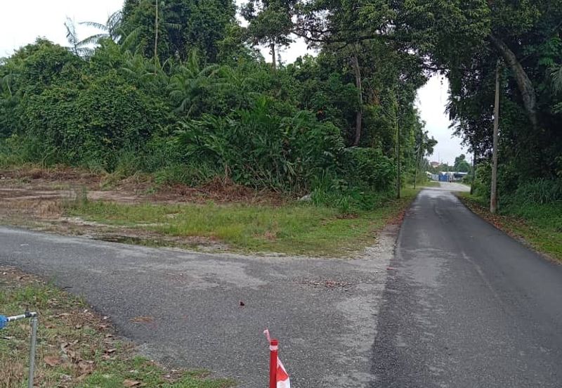 FREEHOLD NON BUMI LOT, Agricultural Land @ Simpang Temerloh-Jerantut - Strategic Location Behind Petronas Station For Sale