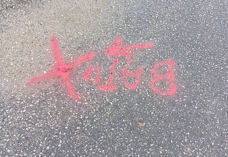 FREEHOLD NON BUMI LOT, Agricultural Land @ Simpang Temerloh-Jerantut - Strategic Location Behind Petronas Station For Sale