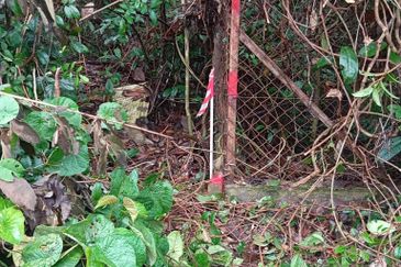 FREEHOLD NON BUMI LOT, Agricultural Land @ Simpang Temerloh-Jerantut - Strategic Location Behind Petronas Station For Sale