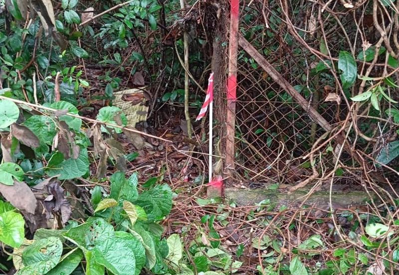 FREEHOLD NON BUMI LOT, Agricultural Land @ Simpang Temerloh-Jerantut - Strategic Location Behind Petronas Station For Sale