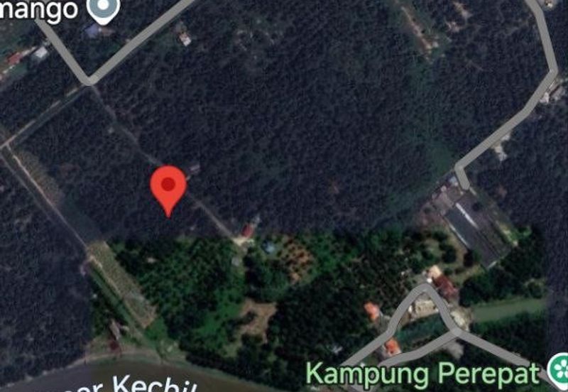 Revolusi Hijau Kampung Perepat