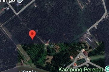 Revolusi Hijau Kampung Perepat
