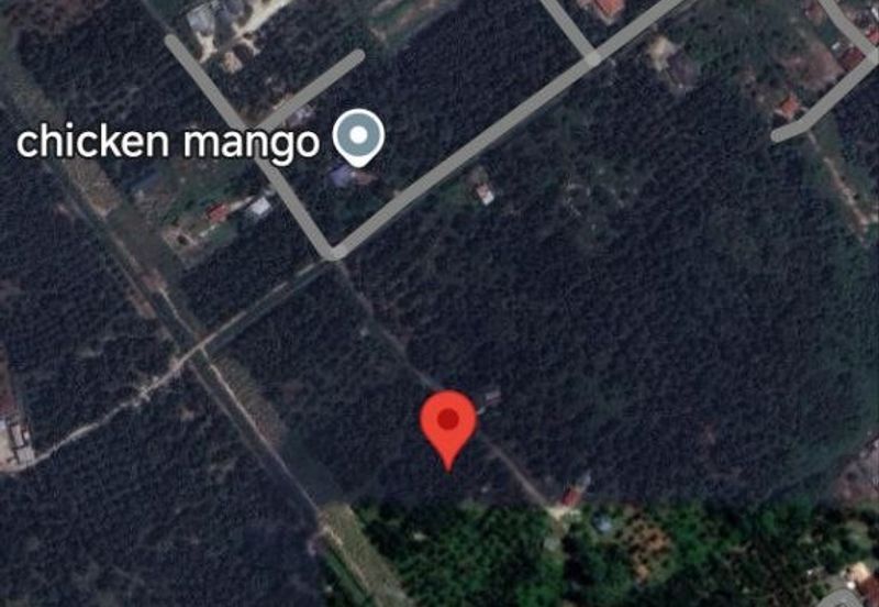 Revolusi Hijau Kampung Perepat