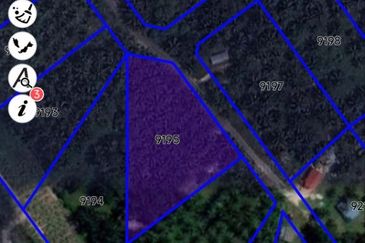 Revolusi Hijau Kampung Perepat