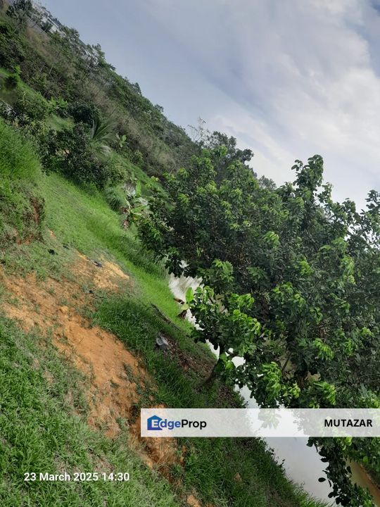 TANAH FREEHOLD Tepi Jalan Utama Tg Malim - Slim River, Berhampiran Politeknik Behrang, Perak, Perak, Tanjung Malim