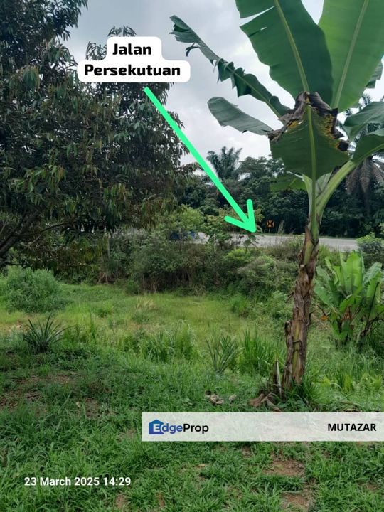 TANAH FREEHOLD Tepi Jalan Utama Tg Malim - Slim River, Berhampiran Politeknik Behrang, Perak, Perak, Tanjung Malim