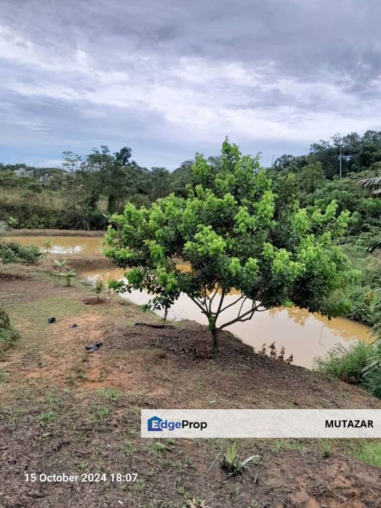 TANAH FREEHOLD Tepi Jalan Utama Tg Malim - Slim River, Berhampiran Politeknik Behrang, Perak, Perak, Tanjung Malim