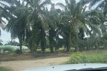 Jalan Kampung Bukit Jeram