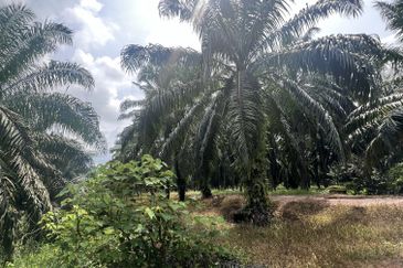 Jalan Kampung Bukit Jeram