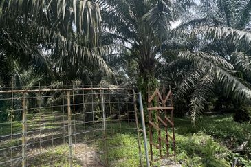 Jalan Kampung Bukit Jeram