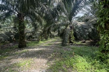 Jalan Kampung Bukit Jeram