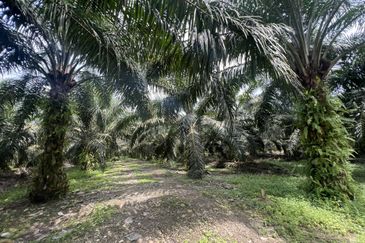 Jalan Kampung Bukit Jeram