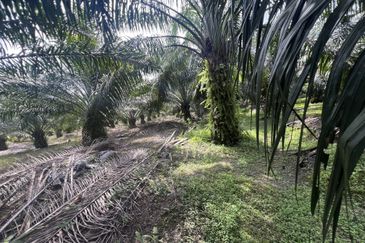 Jalan Kampung Bukit Jeram